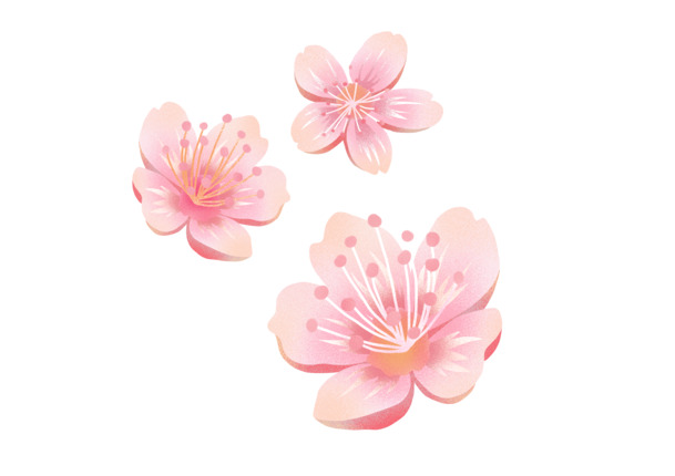 桃花花朵手绘元素，高清PNG透明图片，手绘卡通PSD设计素材下载
