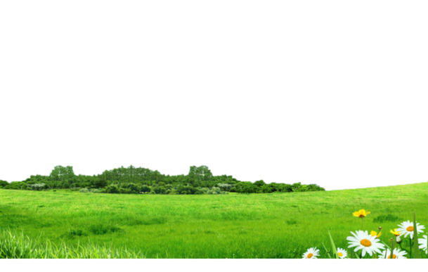 绿色草地PNG透明背景图片，高清摄影风景素材PSD下载