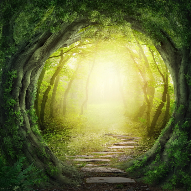 童话森林树木梦幻PNG背景，高清透明图片，抽象梦幻设计素材下载