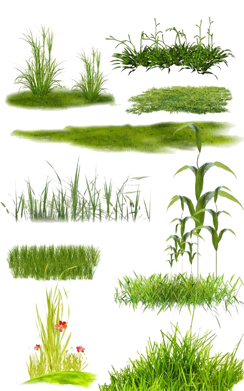 花草绿叶PNG透明图，动植物元素设计素材高清下载