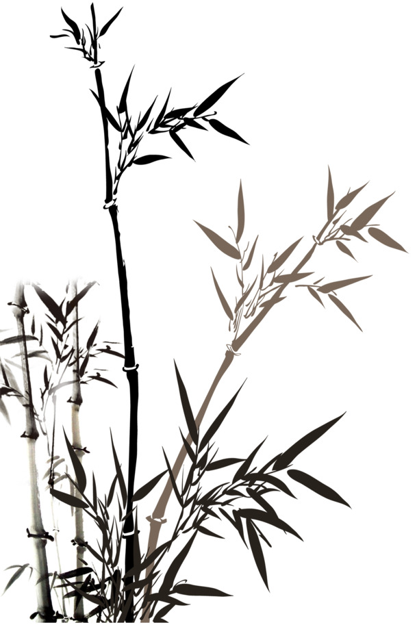 水墨画黑色竹子，高清PNG透明图片，动植物元素植物设计素材免费下载