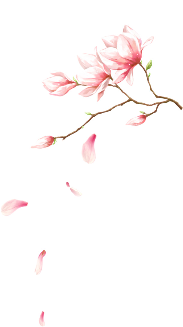 创意水彩手绘桃花PNG透明图片，高清漂浮花瓣PSD设计素材下载