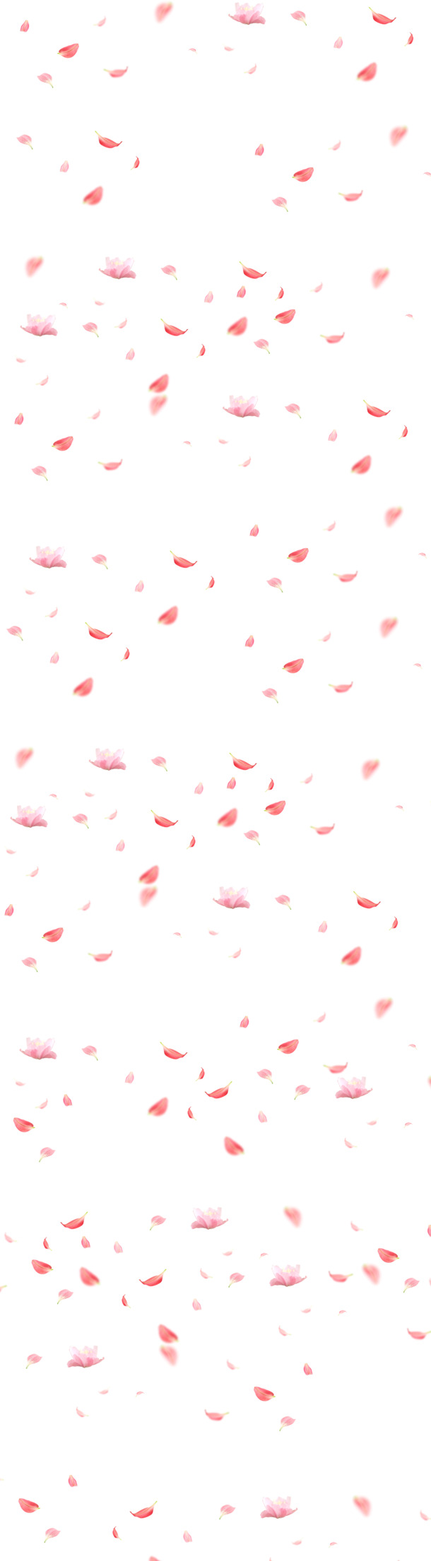 漂浮花瓣PNG透明图片，高清元素与叶子设计素材，一键下载