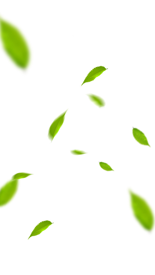 绿色茶叶树墩背景PNG透明图片，高清叶子设计素材，免费下载