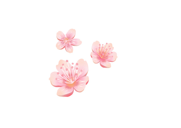 粉色樱花海，高清PNG透明图片，黛粉花瓣漂浮元素，PSD设计素材下载