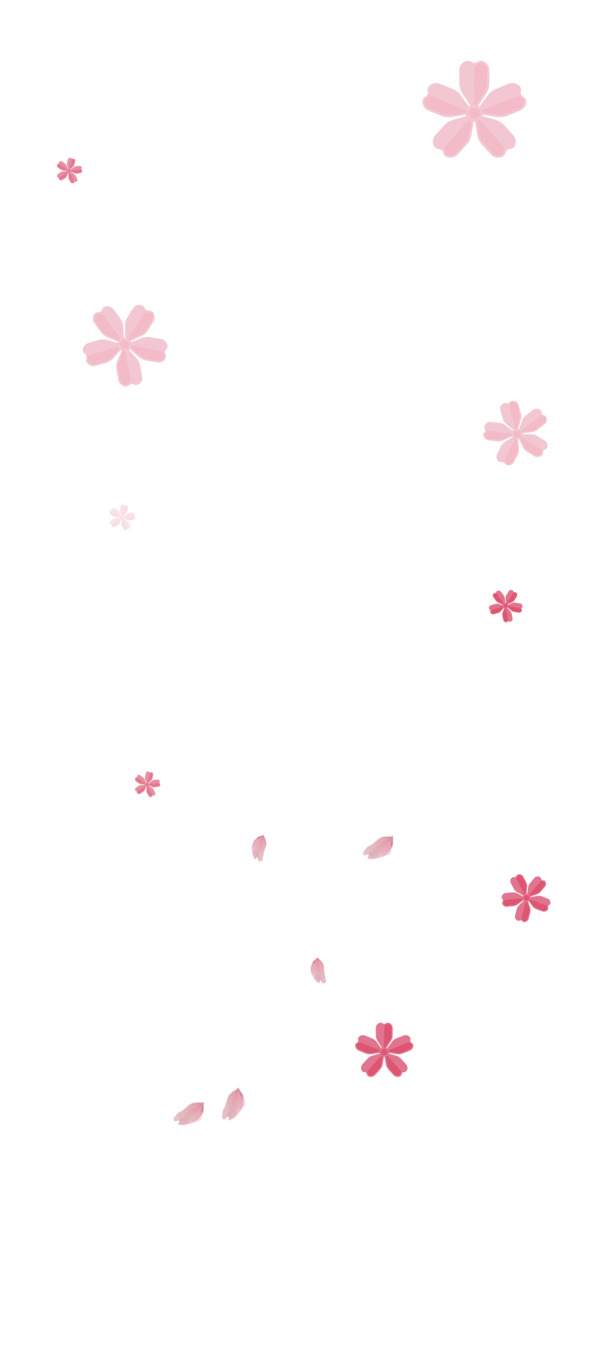 樱花花朵PNG透明图，高清漂浮花瓣PSD素材，免费下载