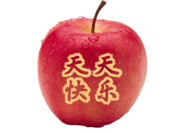 圣诞节PNG透明图片，快乐节日元素，高清素材免费下载