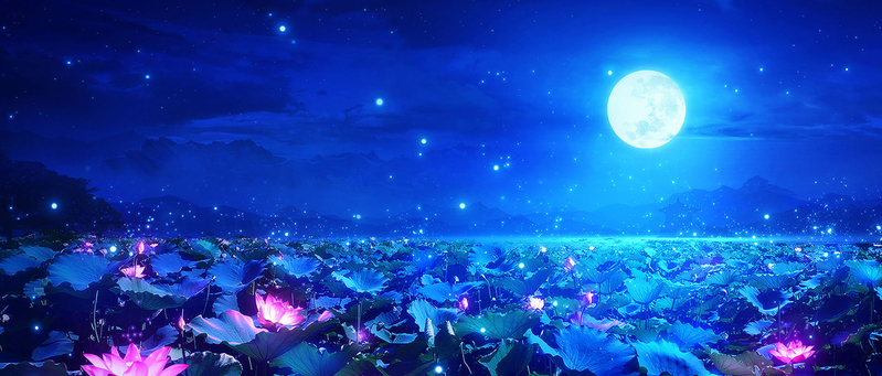 夏日荷香夜韵，高清JPG荷花夜景Banner，文艺清新设计素材下载