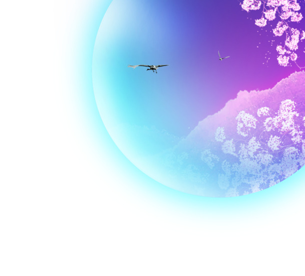 中秋节高清PNG月亮透明图片，节日元素设计素材免费下载