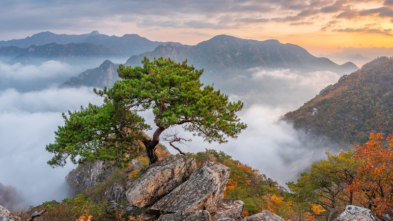 黄山迎客松美景，高清JPG摄影素材，风景图片设计必备下载