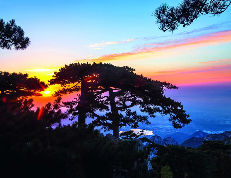 泰山迎客松高清摄影，风景图片素材下载
