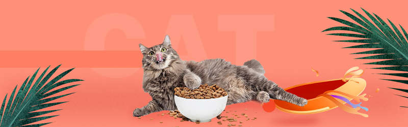 清新简约猫咪猫粮促销设计素材，高清JPG图片与扁平PSD格式，免费下载！