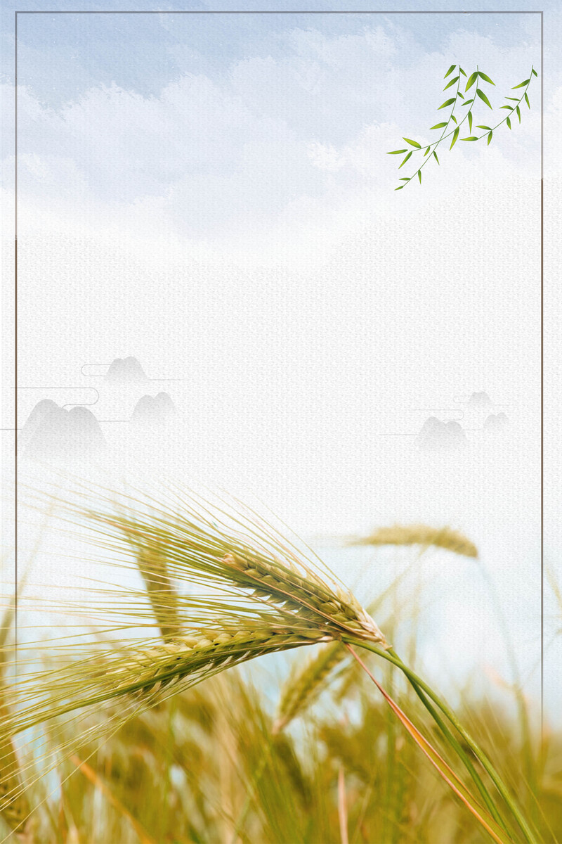 芒种节气海报设计素材，简约创意JPG/PSD格式，高清扁平风格下载