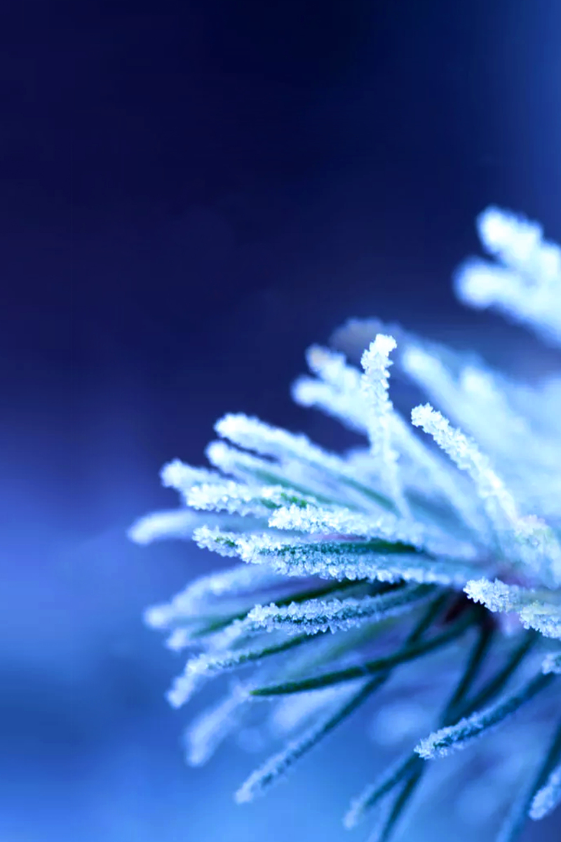 简约霜降节气海报，高清JPG素材，扁平风格设计，一键下载