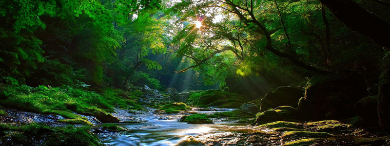 森林流水高清JPG素材，扁平简约风格，一键下载