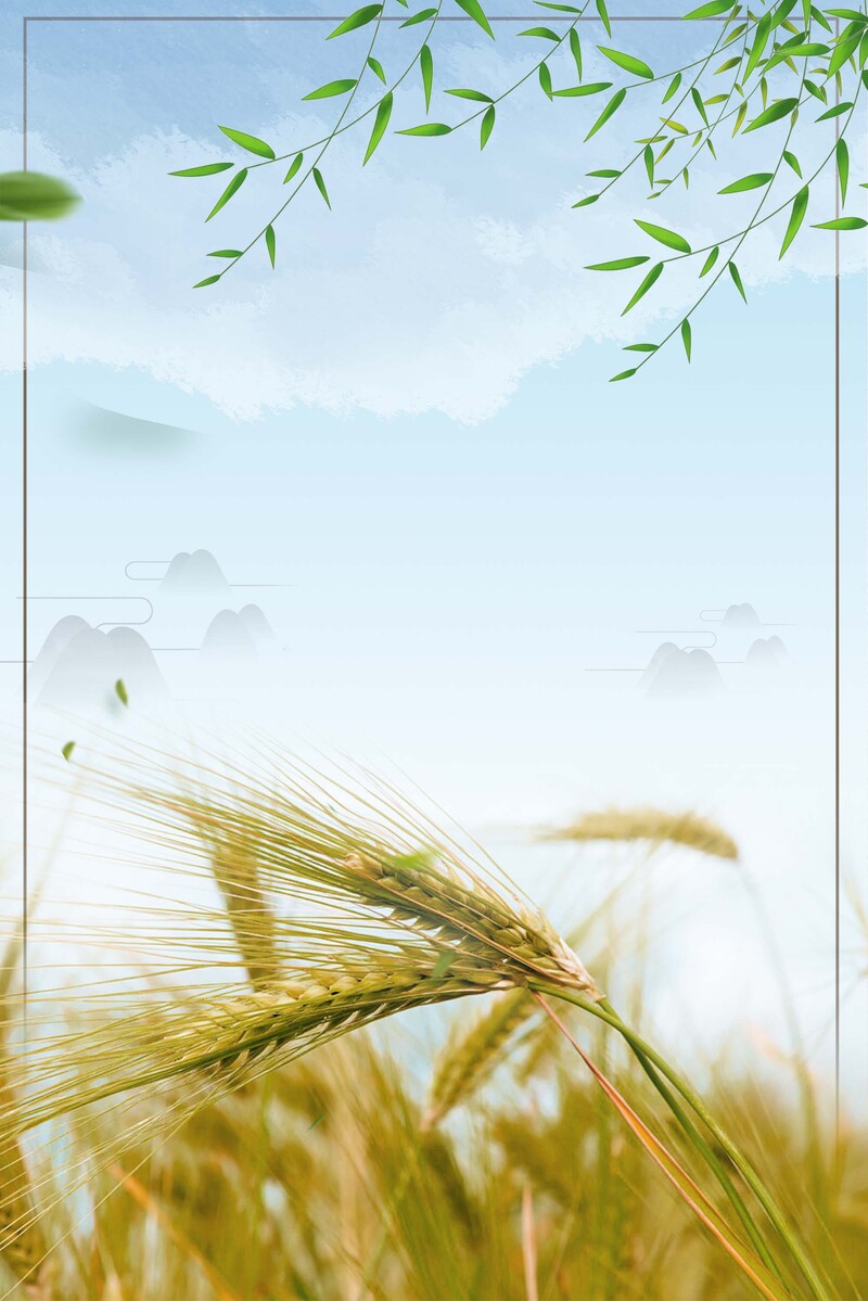 二十四节气小满海报，扁平简约设计，JPG/PSD高清素材下载