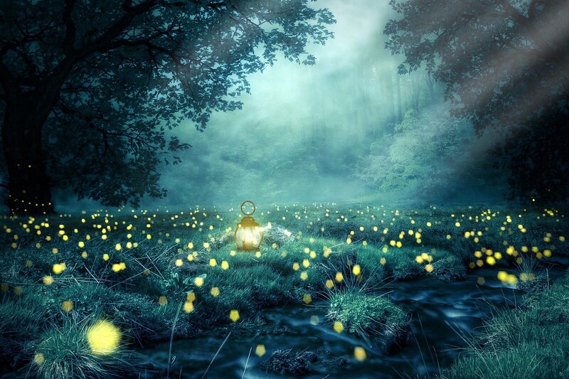 梦幻森林背景高清JPG，1920x1280分辨率，简约扁平设计素材下载