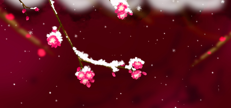大雪冬至梅花高清JPG素材，扁平简约PSD设计，免费下载