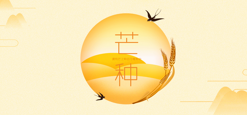 芒种节气，黄色稻谷banner设计素材，高清JPG+简约PSD格式下载