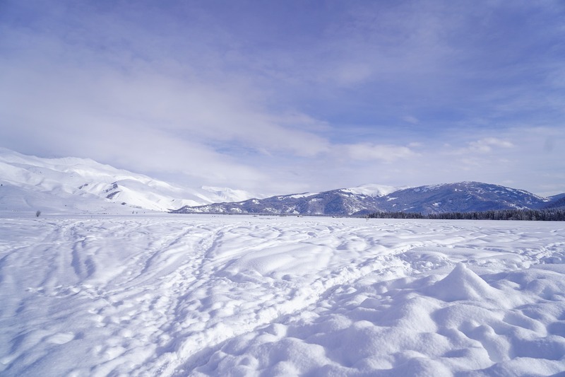 圣诞雪天背景高清JPG，简约扁平设计素材（01920*1280）免费下载