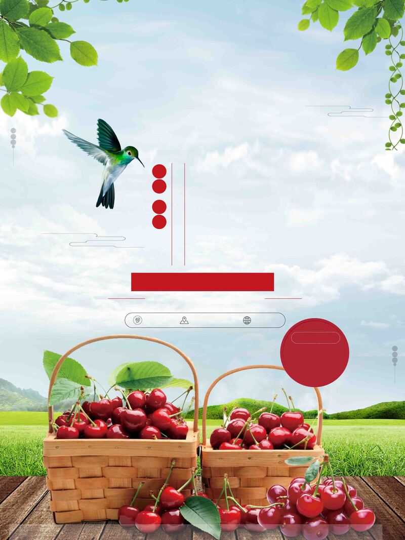 户外樱桃美食高清图集，清新扁平PSD设计素材免费下载