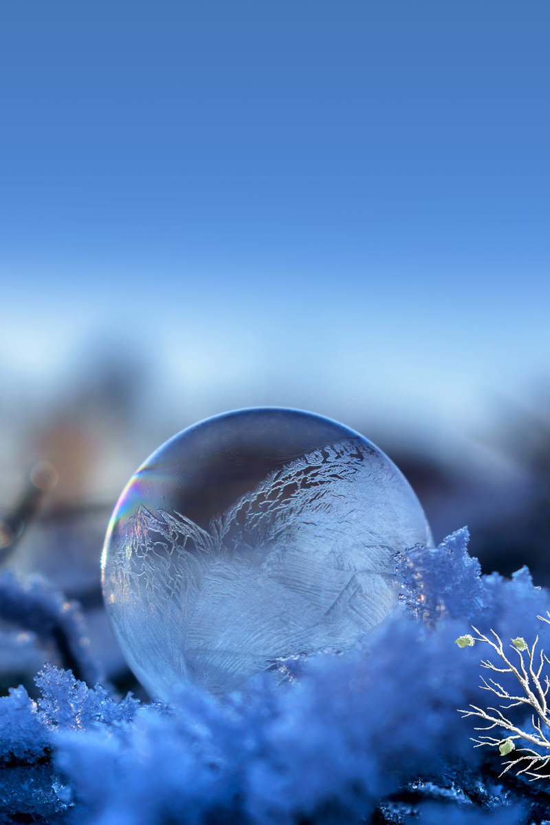 冬日雪景唯美呈现，高清JPG海报与简约PSD设计素材，迎接冬天美好时光