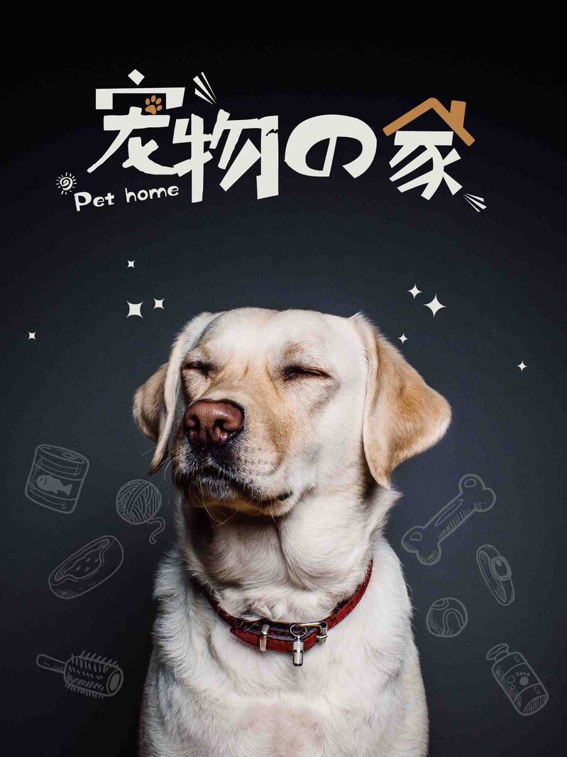 宠物之家用品精选，高清JPG与扁平PSD设计素材下载