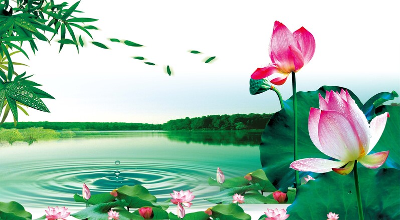 清明节荷塘美景广告背景图，高清JPG商务/科技设计素材下载