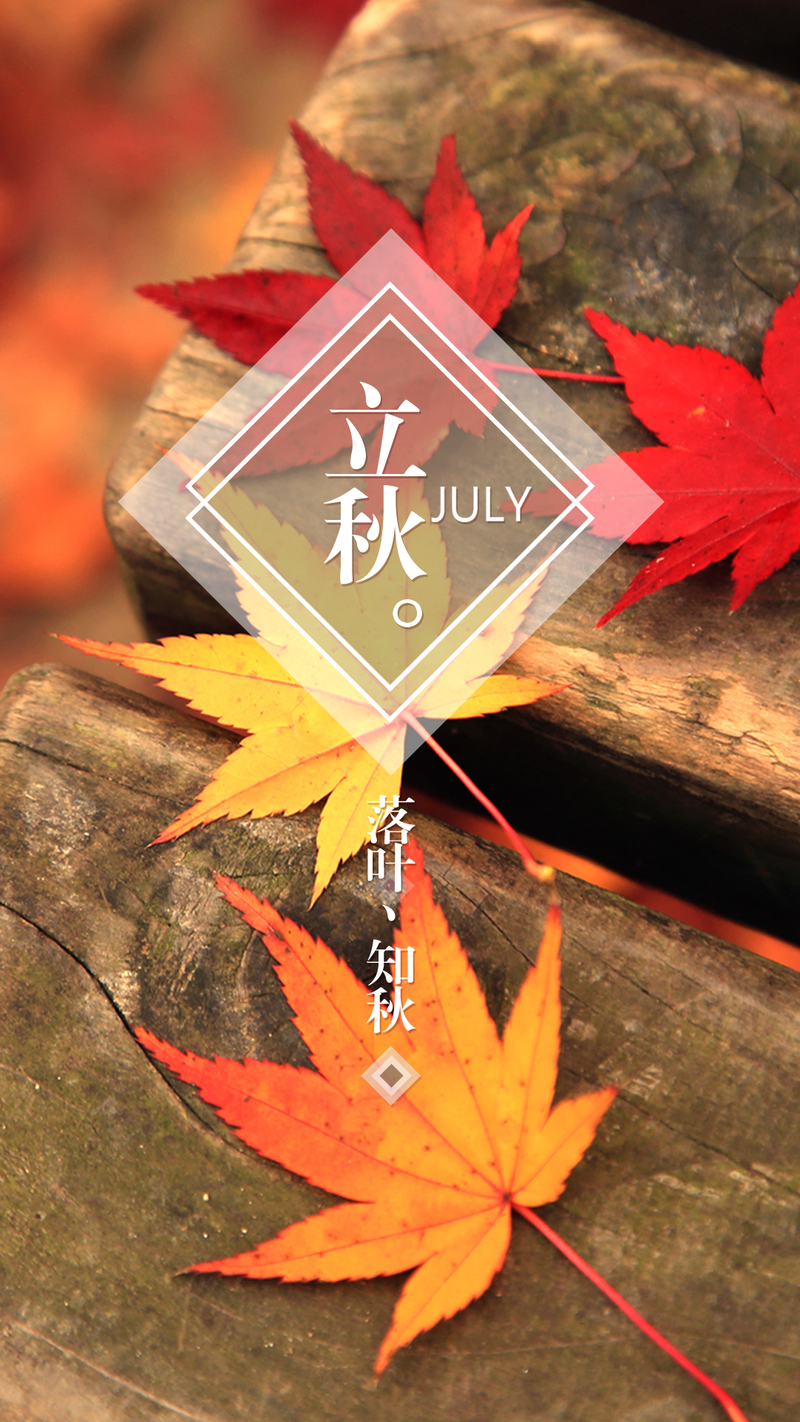 立秋小暑节气背景图，高清JPG与商务科技PSD设计素材下载