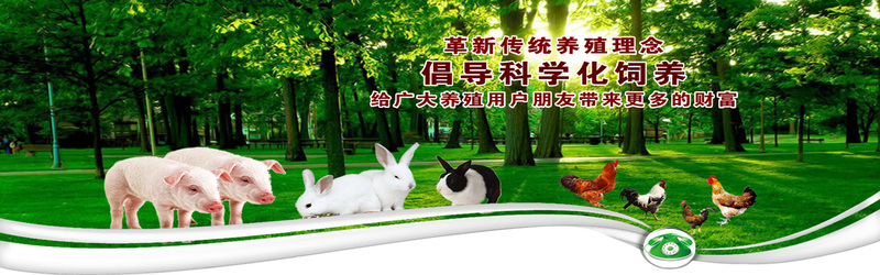科学养殖专业素材，高清JPG与商务科技PSD格式图片下载