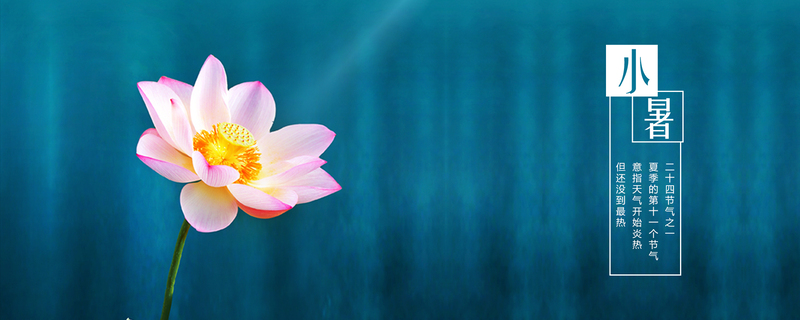 小暑节气荷花海报，高清JPG/简约PSD设计素材，免费下载