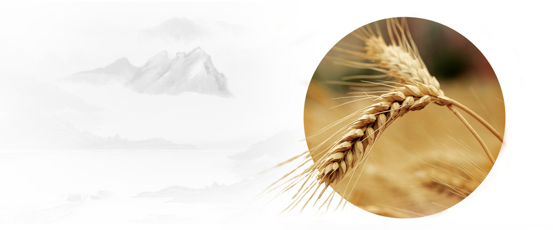 秋季简约白底Banner，高清JPG&PSD设计素材，一键下载