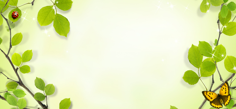 商务科技PSD素材，高清绿色创意边框树叶简约Banner背景图片下载