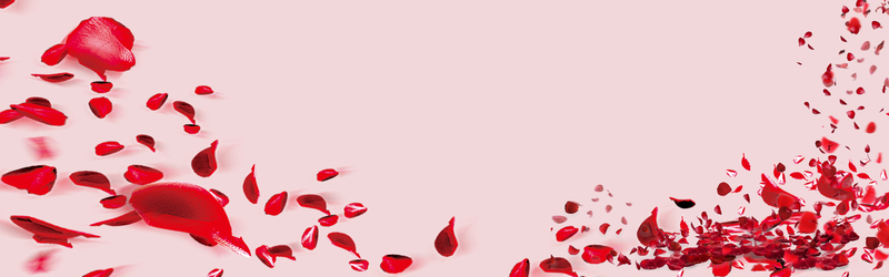 粉色花海Banner，高清JPG商务/科技图片素材下载