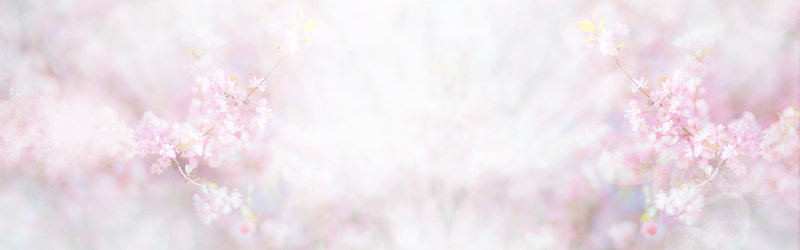 桃花节梦幻浪漫高清JPG图片，炫彩白Banner与商务科技PSD设计素材下载