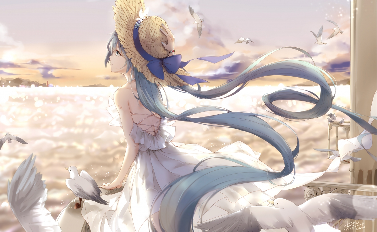 初音未来帽子天空鸟儿美景，4K超清动漫壁纸，高清4000x2464，免费下载