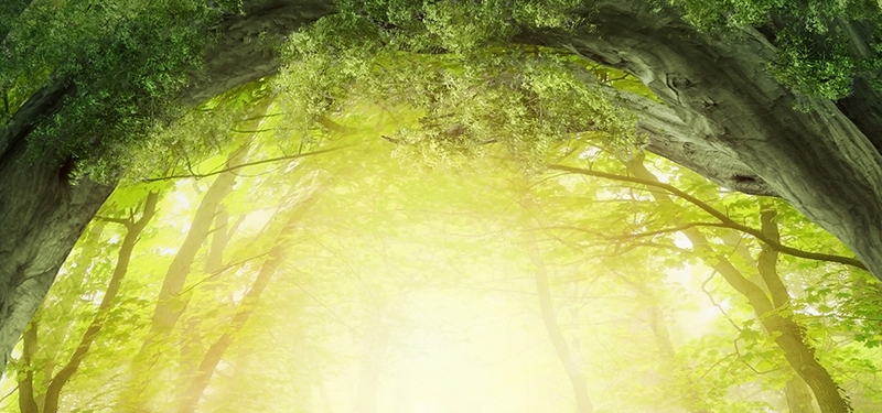 淘宝，绿色梦幻背景商务科技JPG图片素材，高清下载