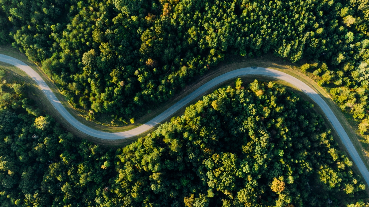 森林公路航拍美景，护眼4K高清壁纸，震撼风景尽在眼前，3992x2242超清下载