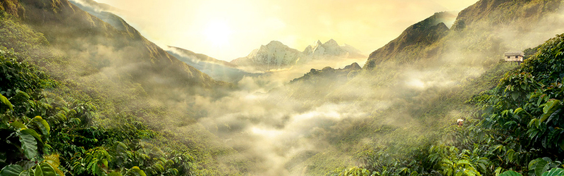 淘宝旅游摄影高清风景图，绿色背景Banner设计素材，JPG格式商务/科技风格下载