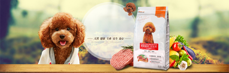 狗狗宠物狗粮摄影，精选高清JPG与PSD设计素材下载