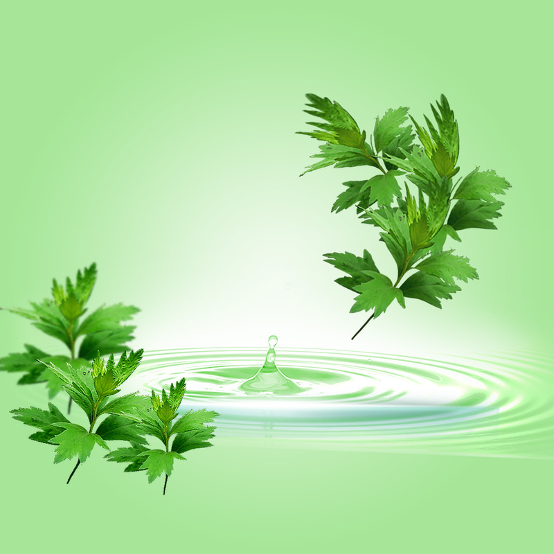 淡绿艾草水纹背景图，文艺清新JPG/PSD素材免费下载