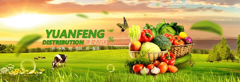 瓜果蔬菜精选图集，文艺清新JPG/PSD格式设计素材，高清下载