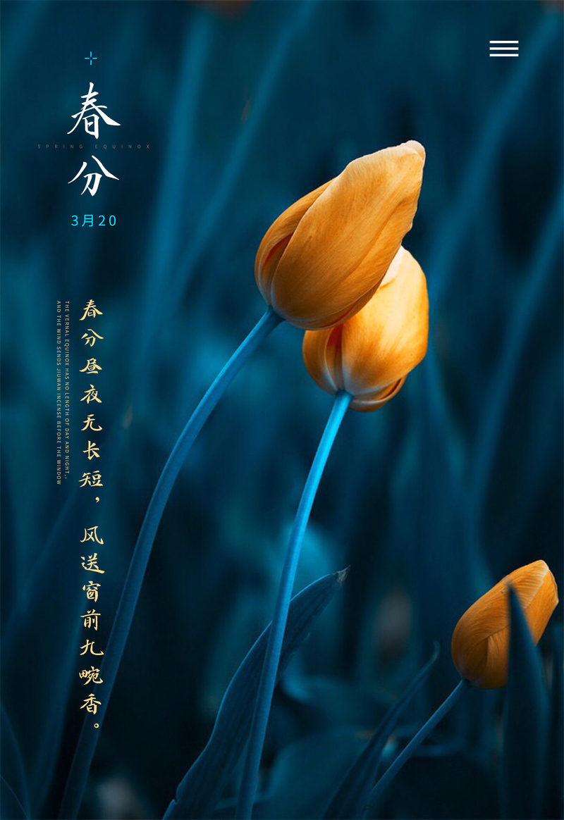 春分节气海报设计素材，高清JPG与清新PSD格式，文艺风格任你选