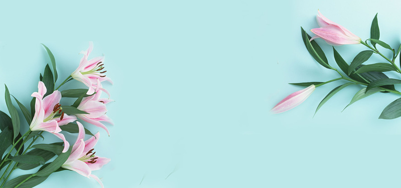 清新素雅百合花，蓝色背景高清JPG图片，文艺设计素材免费下载