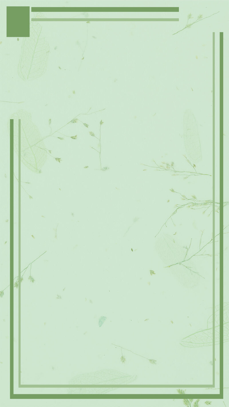 清新简约茉莉花主题，浅绿色调H5素材，JPG/PSD高清下载