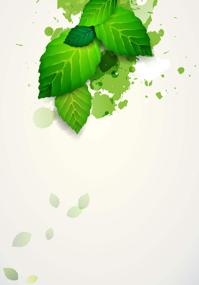 矢量清新薄荷叶水彩背景图，文艺清新JPG/AI格式素材，高清下载