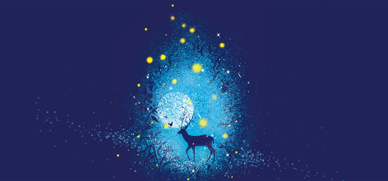 星空鹿插画BANNER，高清JPG与文艺清新PSD设计素材下载