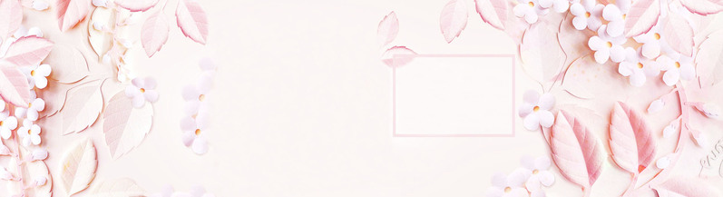唯美花卉背景Banner，高清JPG图片素材，文艺清新风格，免费下载