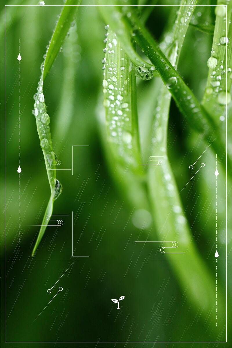 高清雨水节气海报，文艺清新设计素材，JPG/PSD双格式下载