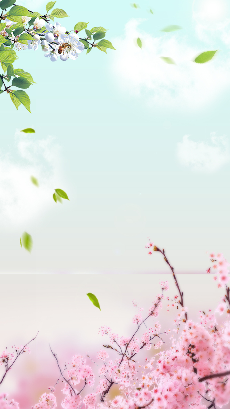2017武汉东湖樱花节，唯美H5背景，JPG/PSD高清素材下载